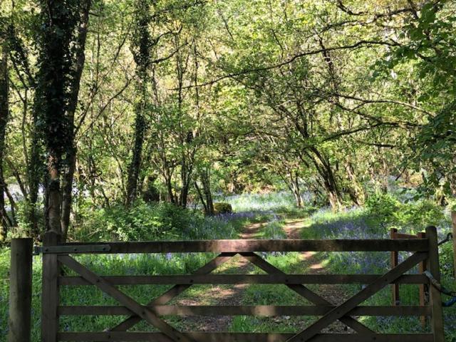Down The Garden Path Vintage Caravan B&B , Dartmoor Newton Abbot Exterior foto