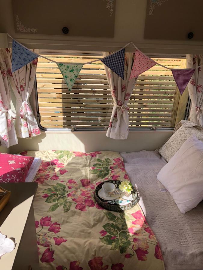 Down The Garden Path Vintage Caravan B&B , Dartmoor Newton Abbot Exterior foto