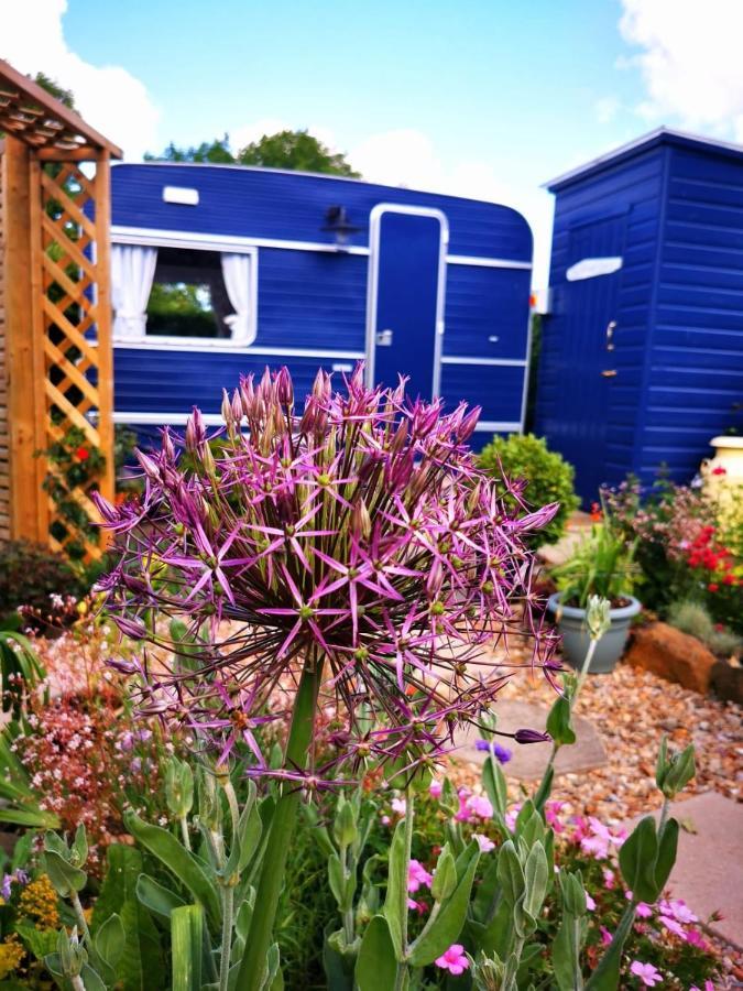 Down The Garden Path Vintage Caravan B&B , Dartmoor Newton Abbot Exterior foto