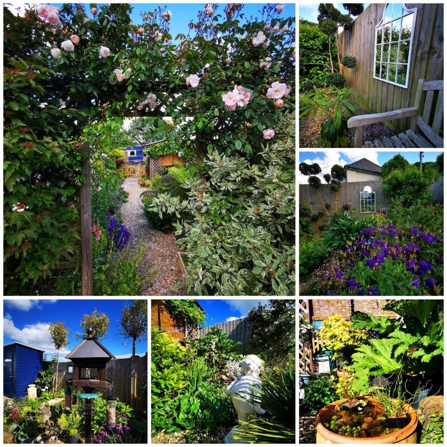Down The Garden Path Vintage Caravan B&B , Dartmoor Newton Abbot Exterior foto